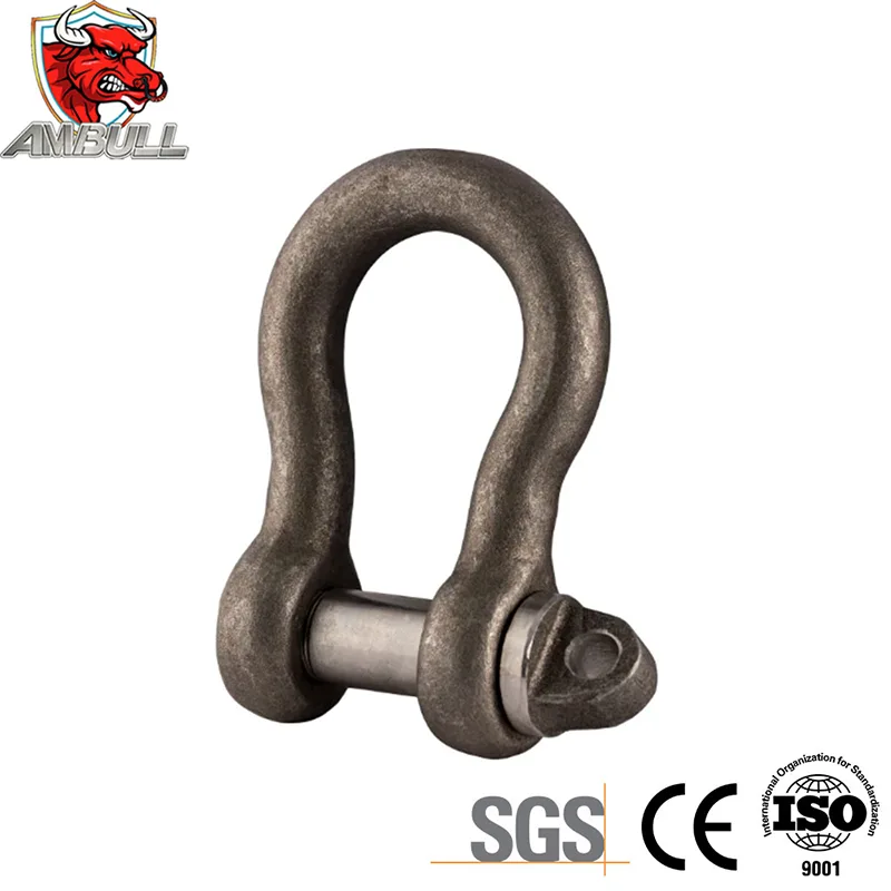 What Makes Rigging Shackle Essential for Safe Lifting Operations?
