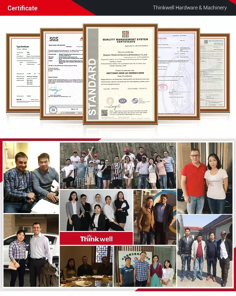 320A Forged Lifting Hoist Hook with Latch