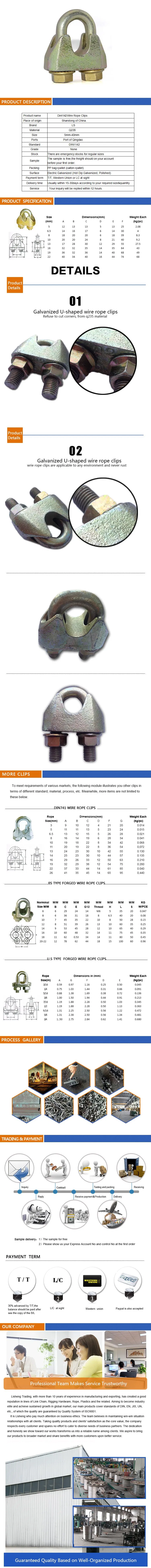 China Maufacturer DIN1142 Malleable Wire Rope Clips