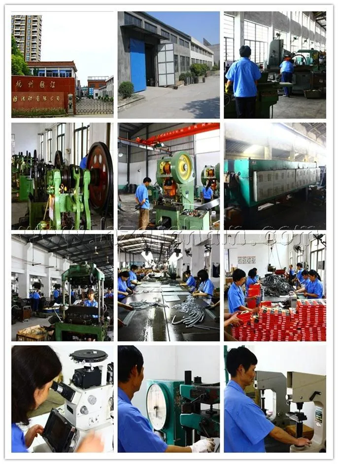 Color O-Ring Motorcyclye Chain (520V)