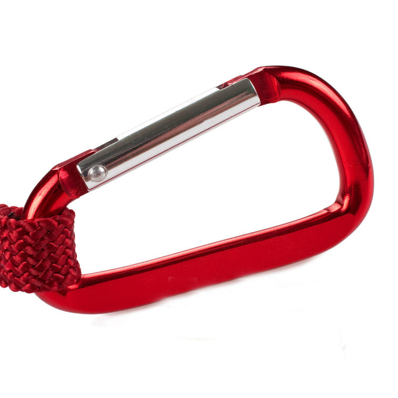 Customized D Shape Flat Wire Aluminium Alloy Carabiner Metal Carabiner for Promotion