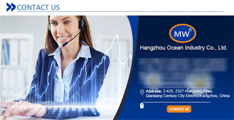 Durable Overhead Enclosed Track Conveyors Uised Line Painting Equipment for Sale Uh-5075-Hh Heavy Flexible Conveyor Chain for Painting Lines Road