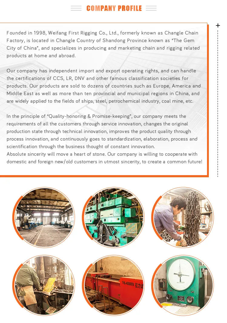 Hot Sale A342 Forged Master Link Supplier Assembly with Good Price