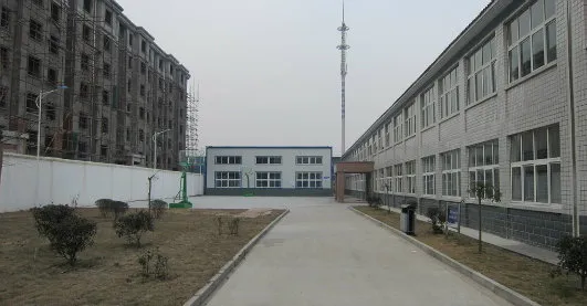 Lockable Gas Spring Form Changzhou Hax SGS Testing