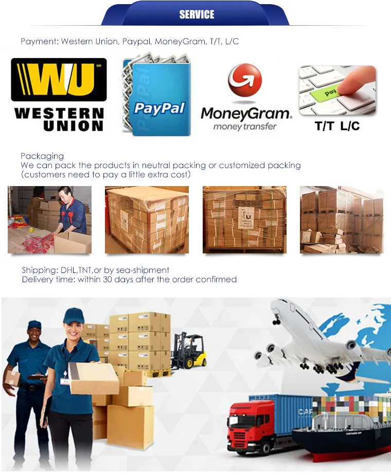 Professional Manufacturer of High Quality Mining Chain