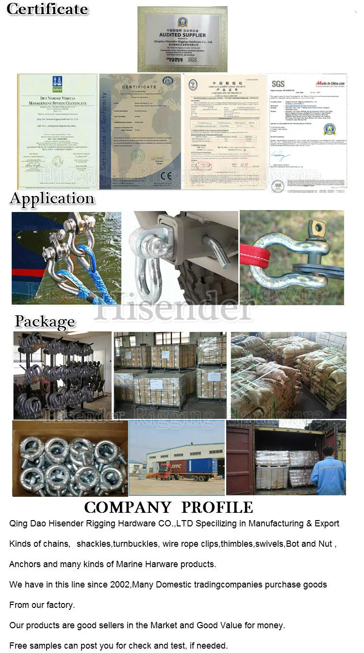 Rigging Hardware European D Type Trawling Shackle with Square Head