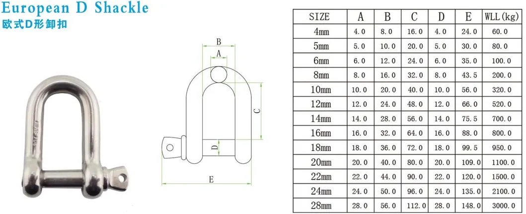 Rigging Hardware Stainlesss Steel304/316 Key Pin Shackle for Lifting