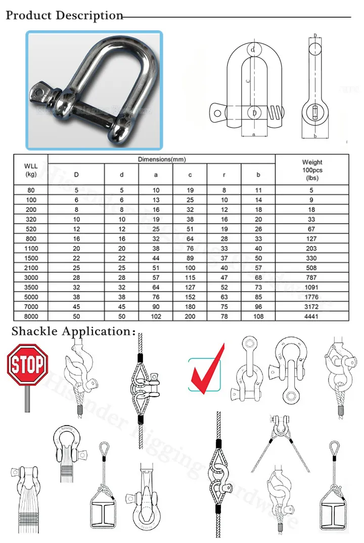 Rigging Hardware Stainlesss Steel304/316 Key Pin Shackle for Lifting