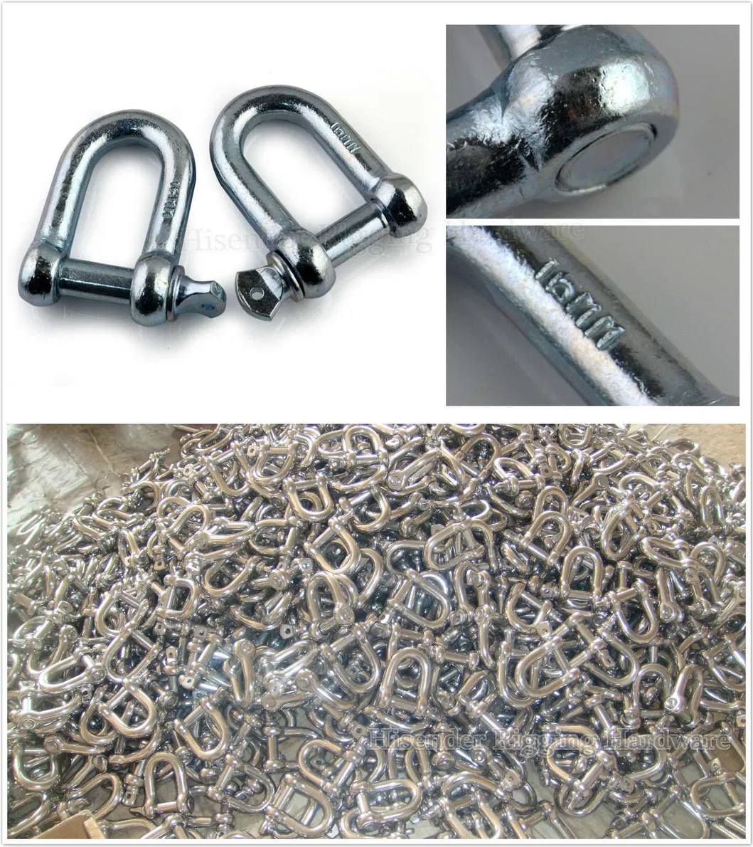 Rigging Hardware Stainlesss Steel304/316 Key Pin Shackle for Lifting