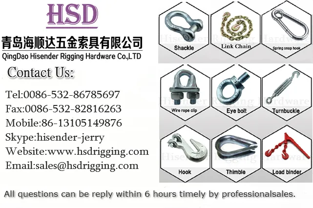 Rigging Hardware Stainlesss Steel304/316 Key Pin Shackle for Lifting