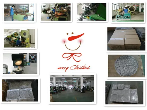 Simplex Stainless Steel 304 Transmission Conveyo Roller Chain (08B-1, 24B-1)