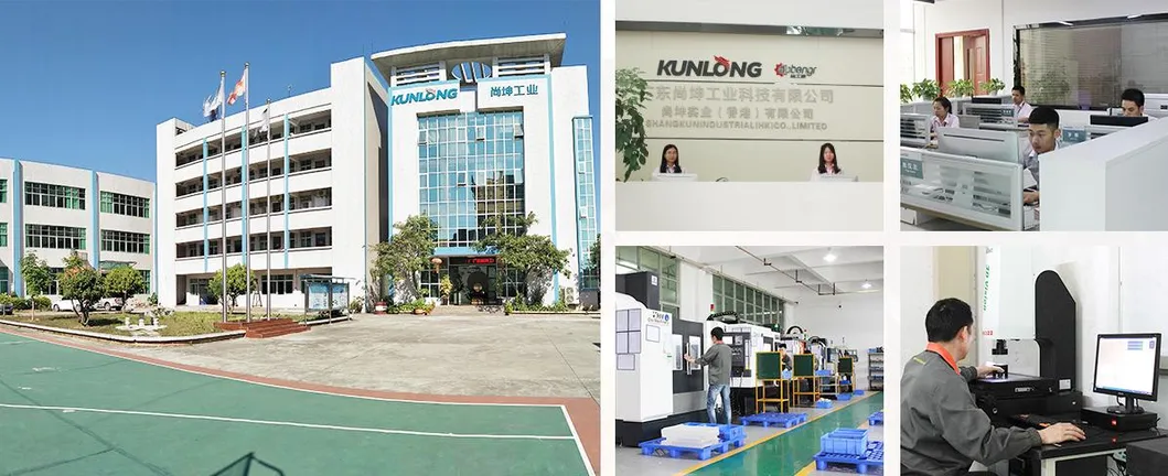 Sk3-021-8 Adjustable Compression Force Toggle Clamp