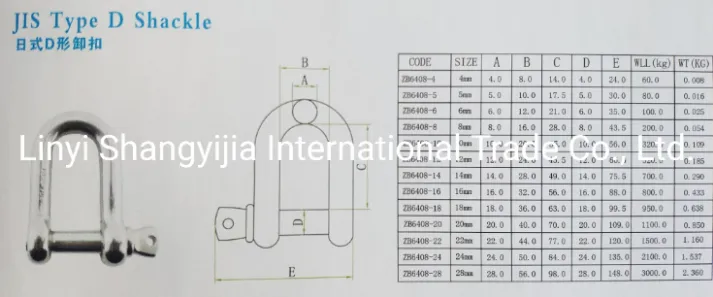 Stainless Steel 304 316 Shackle JIS Type D Shackle