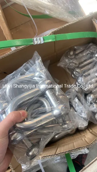 Stainless Steel 304 316 Shackle JIS Type D Shackle