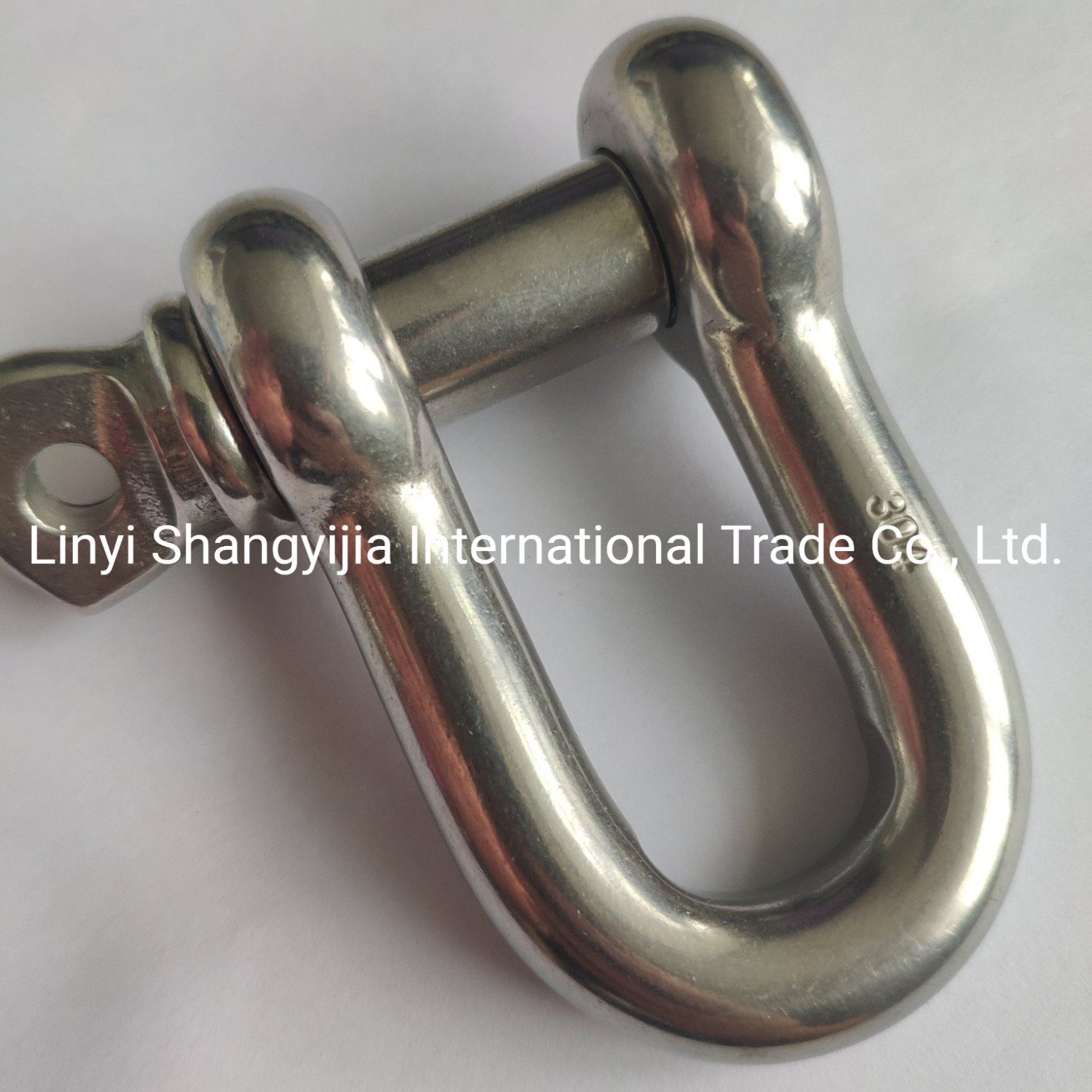 Stainless Steel 304 316 Shackle JIS Type D Shackle