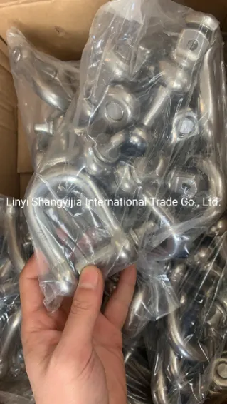 Stainless Steel 304 316 Shackle JIS Type D Shackle