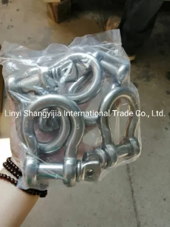 Stainless Steel 304 316 Shackle JIS Type D Shackle
